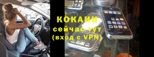 шишки Нефтегорск