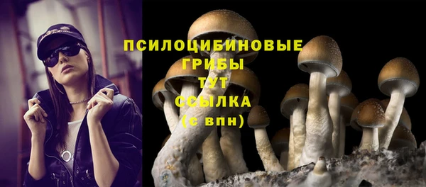 твердый Абаза