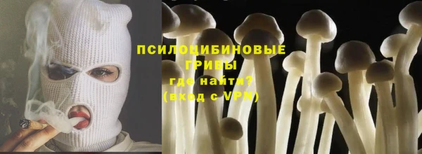 твердый Абаза