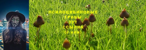mdpv Алексеевка